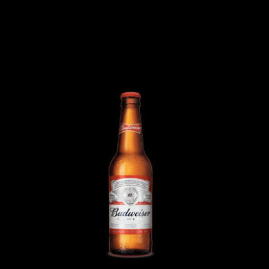 Cerveza Budweiser X 250 ml